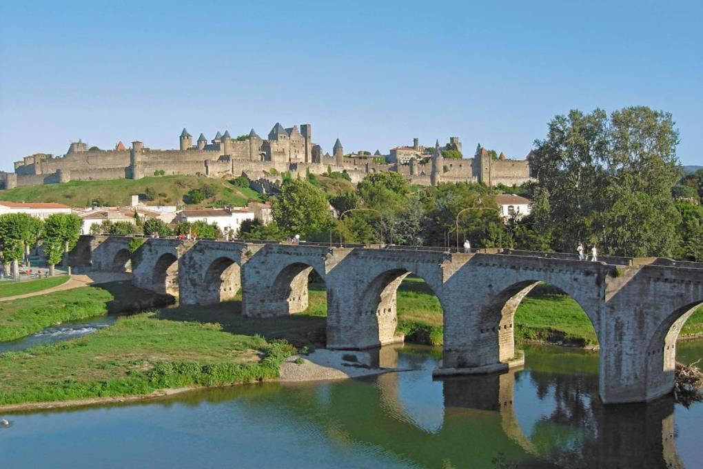 Vue Sur Cite - Spa Carcassone Kültér fotó