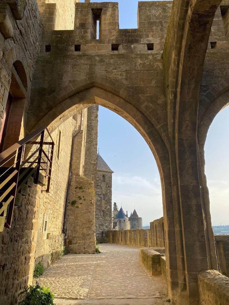 Vue Sur Cite - Spa Carcassone Kültér fotó